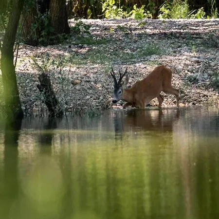 In With Scenic Terrace Villa