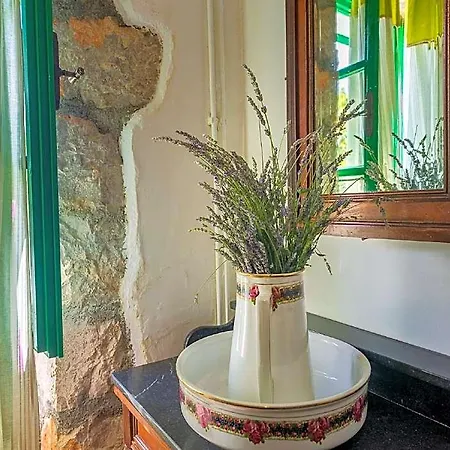 Vilă In With Scenic Terrace